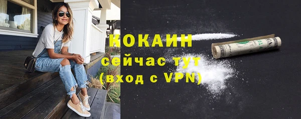 крисы Бородино