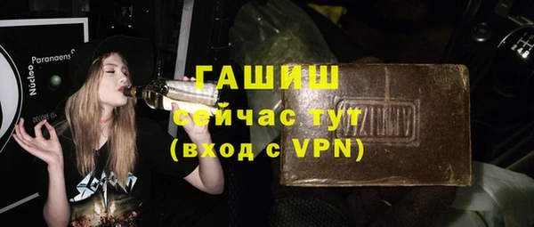 крисы Бородино