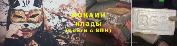 мдпв Бронницы