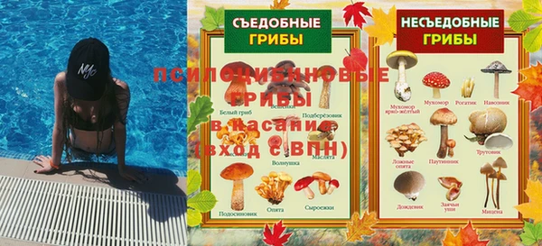 крисы Бородино