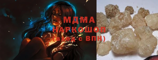 крисы Бородино