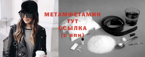 крисы Бородино