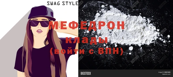 крисы Бородино