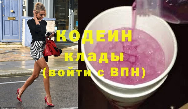 крисы Бородино