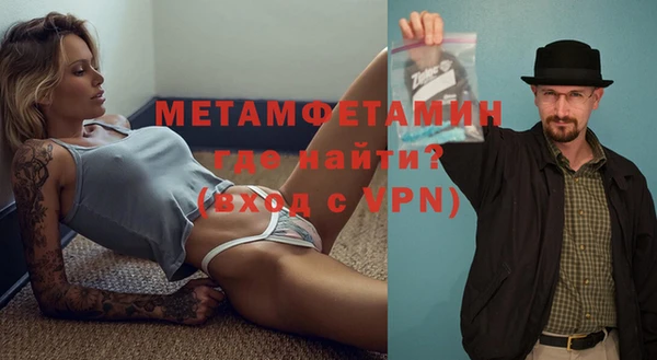 крисы Бородино