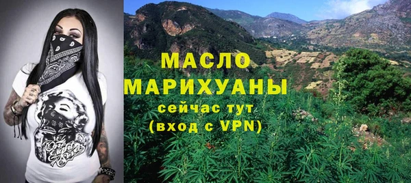 крисы Бородино